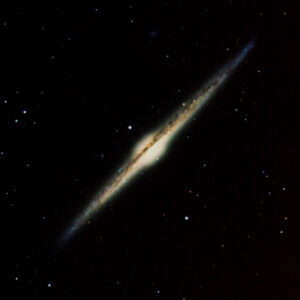 NGC4565_dss2